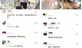 俊辰少爷语音爆料视频大全,揭秘幕后故事与精彩瞬间